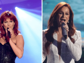 Andrea Berg Todesursache